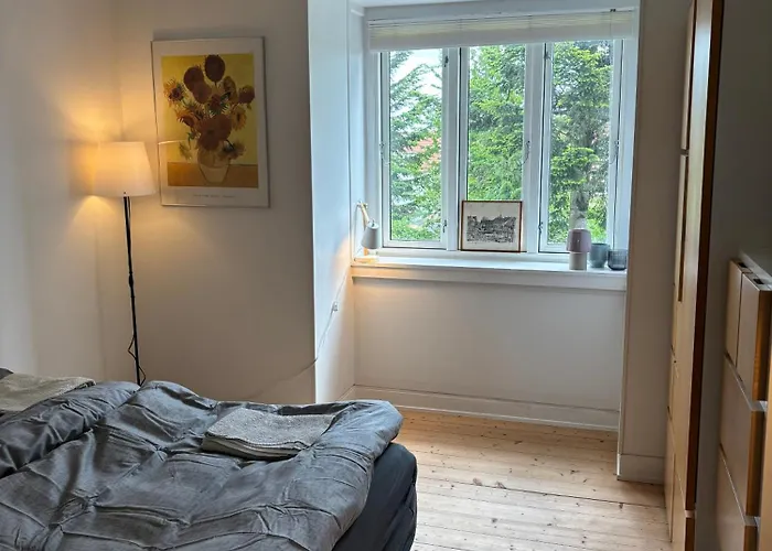 Bjerregade 6 Centrum Apartment *