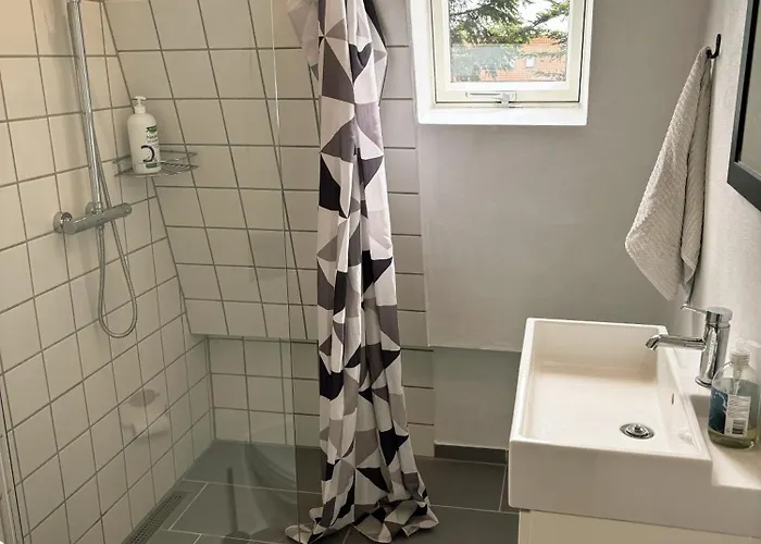 Bjerregade 6 Centrum Apartment